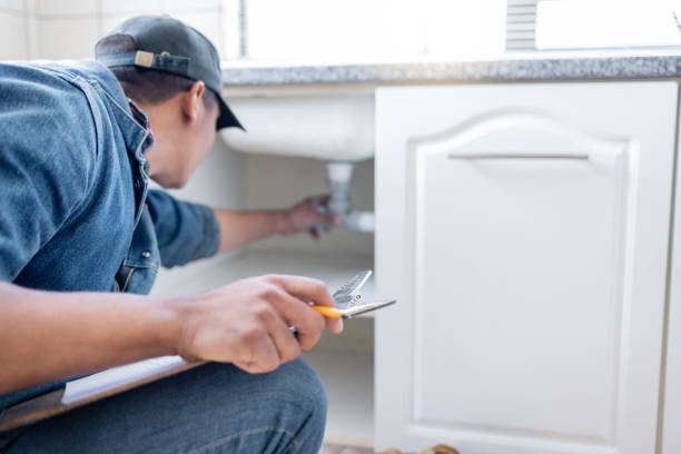 Best Plumbing Repair Near Me  in Eau Claire, WI